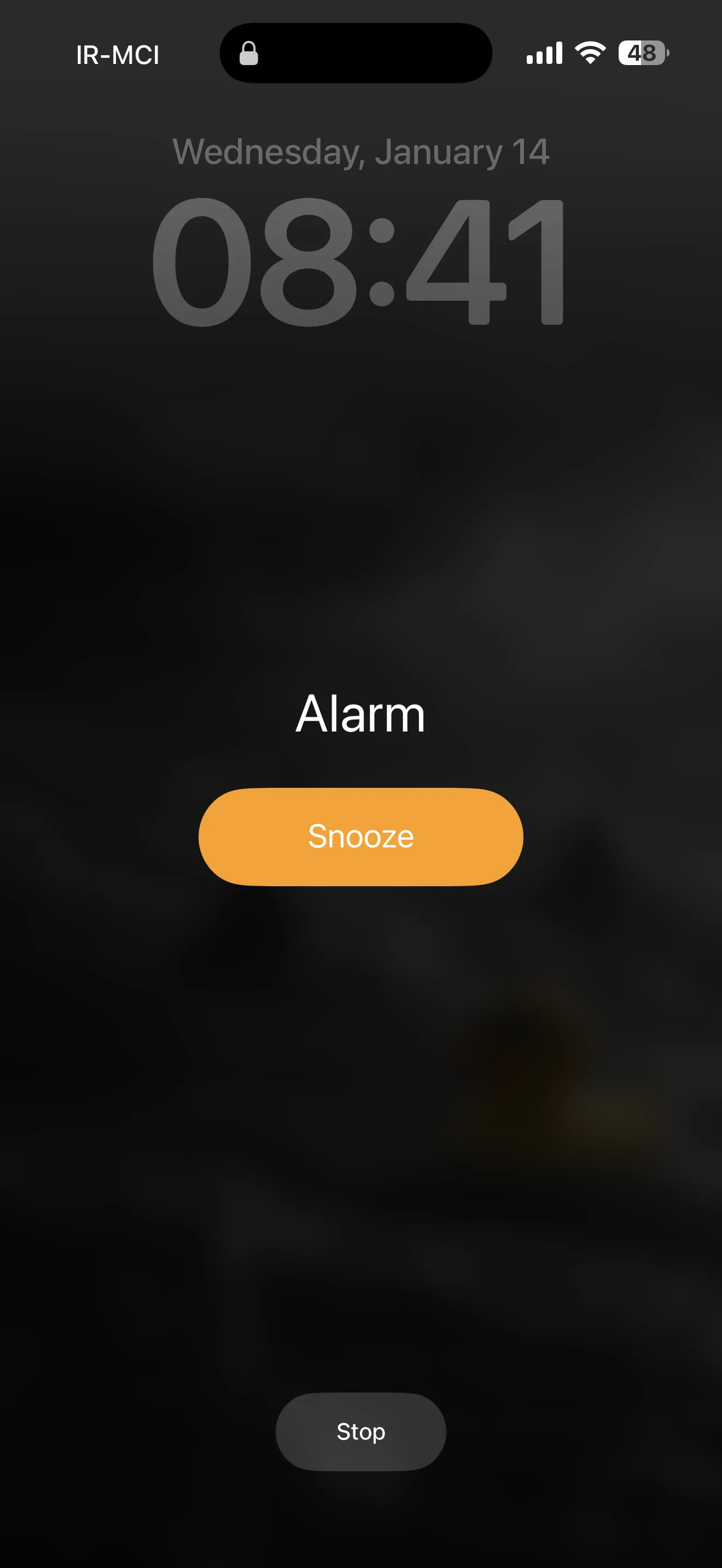 تست